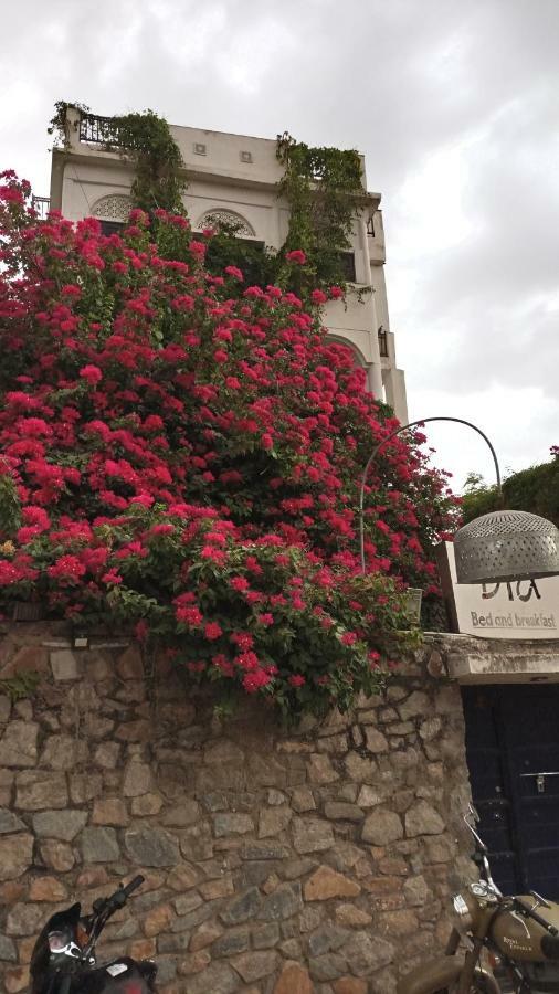Dia Homestay Πουσκάρ Εξωτερικό φωτογραφία