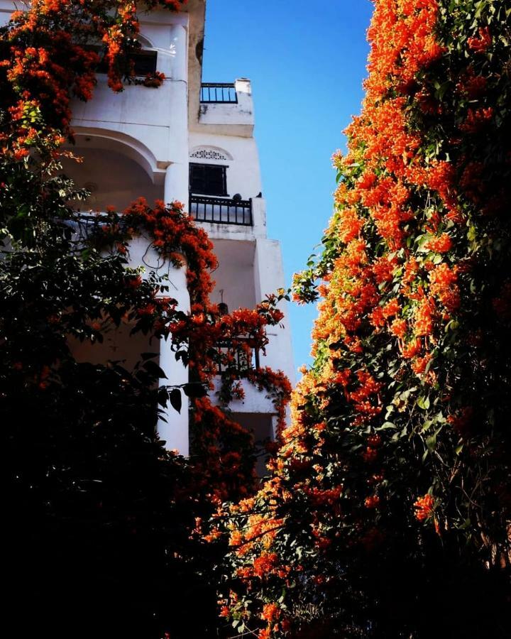Dia Homestay Πουσκάρ Εξωτερικό φωτογραφία